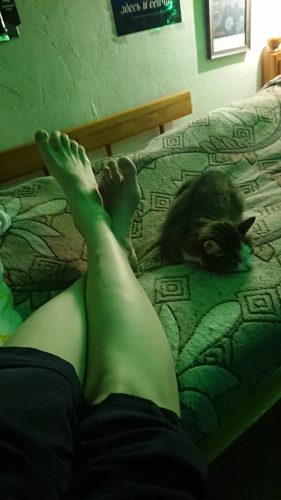Лиса @vahari Василиса – footmodels.top