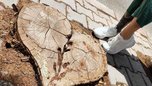 Ножки Misery for Ann – footmodels.top